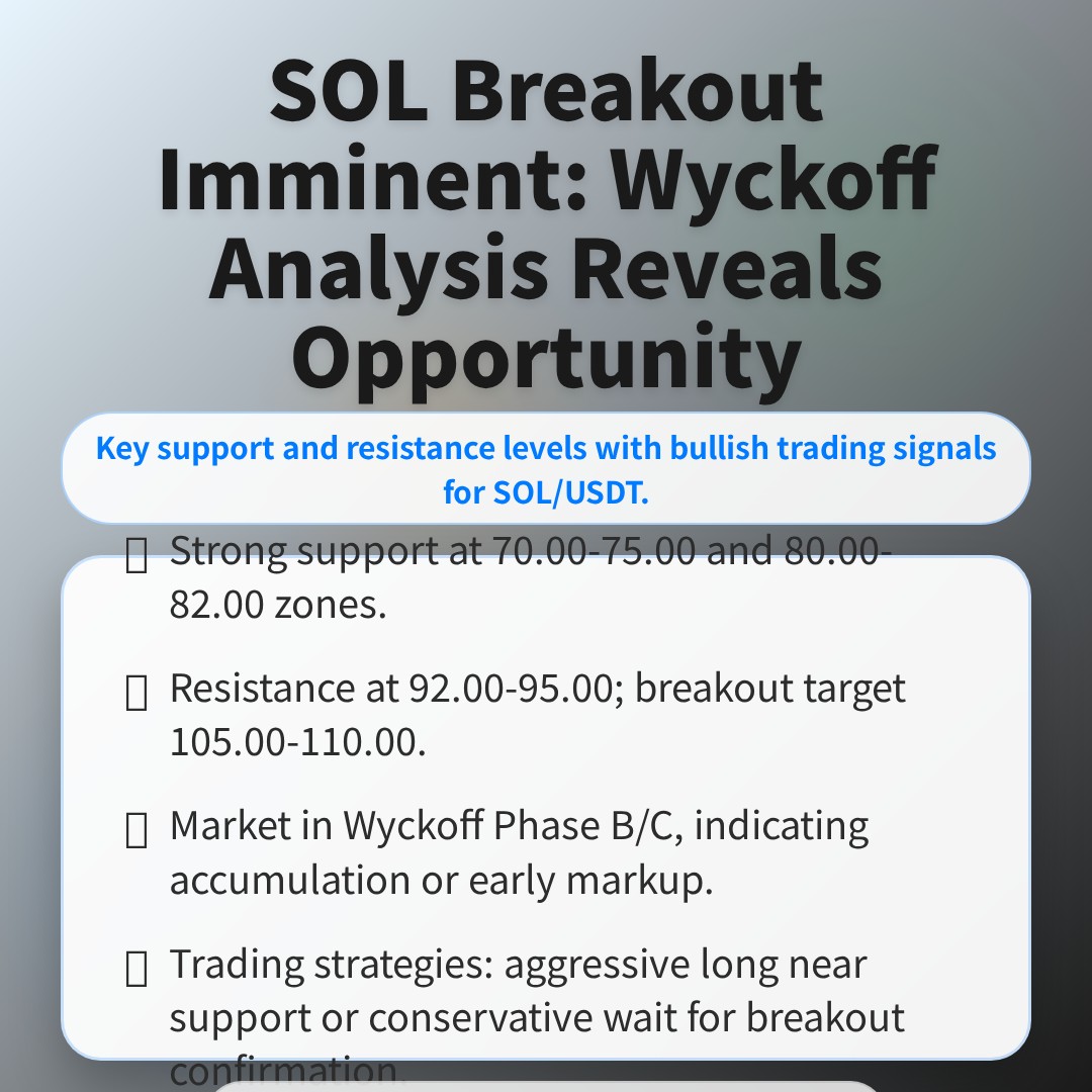 20260311 SOLUSDT Market Data Review Report (Based on Wyckoff Volume-Price Perspective)