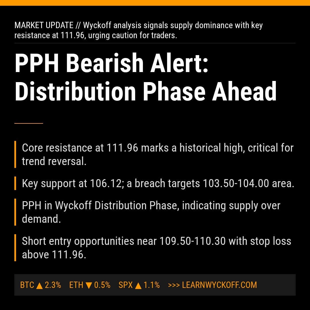20260216 PPH Market Data Review Report (Based on Wyckoff Volume-Price Perspective)