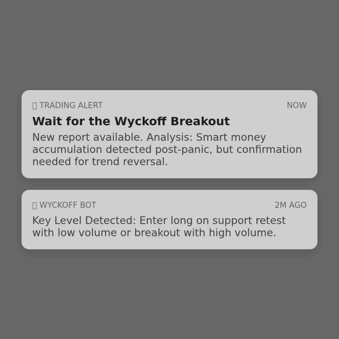 20260219 TONUSDT Market Data Review Report (Based on Wyckoff Volume-Price Perspective)