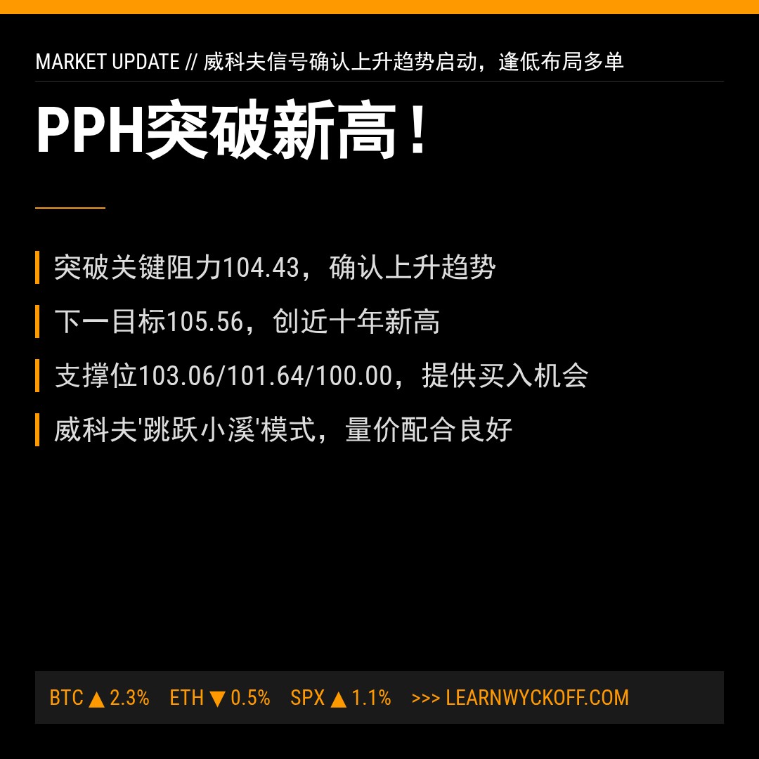 20260106 PPH 行情数据复盘报告（基于威科夫量价视角）