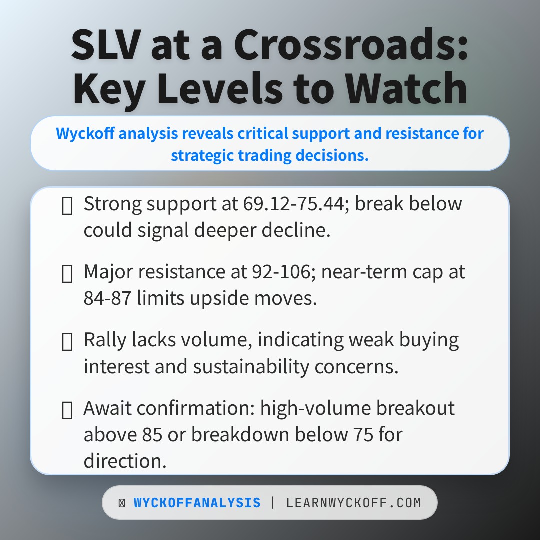 20260302 SLV Market Data Review Report (Based on Wyckoff Volume-Price Perspective)