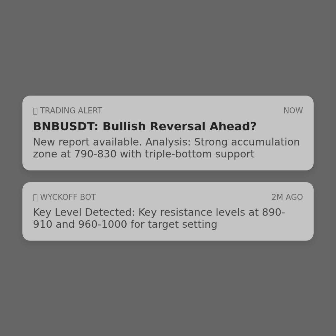 20251230 BNBUSDT Market Data Review Report (Based on Wyckoff Volume-Price Perspective)