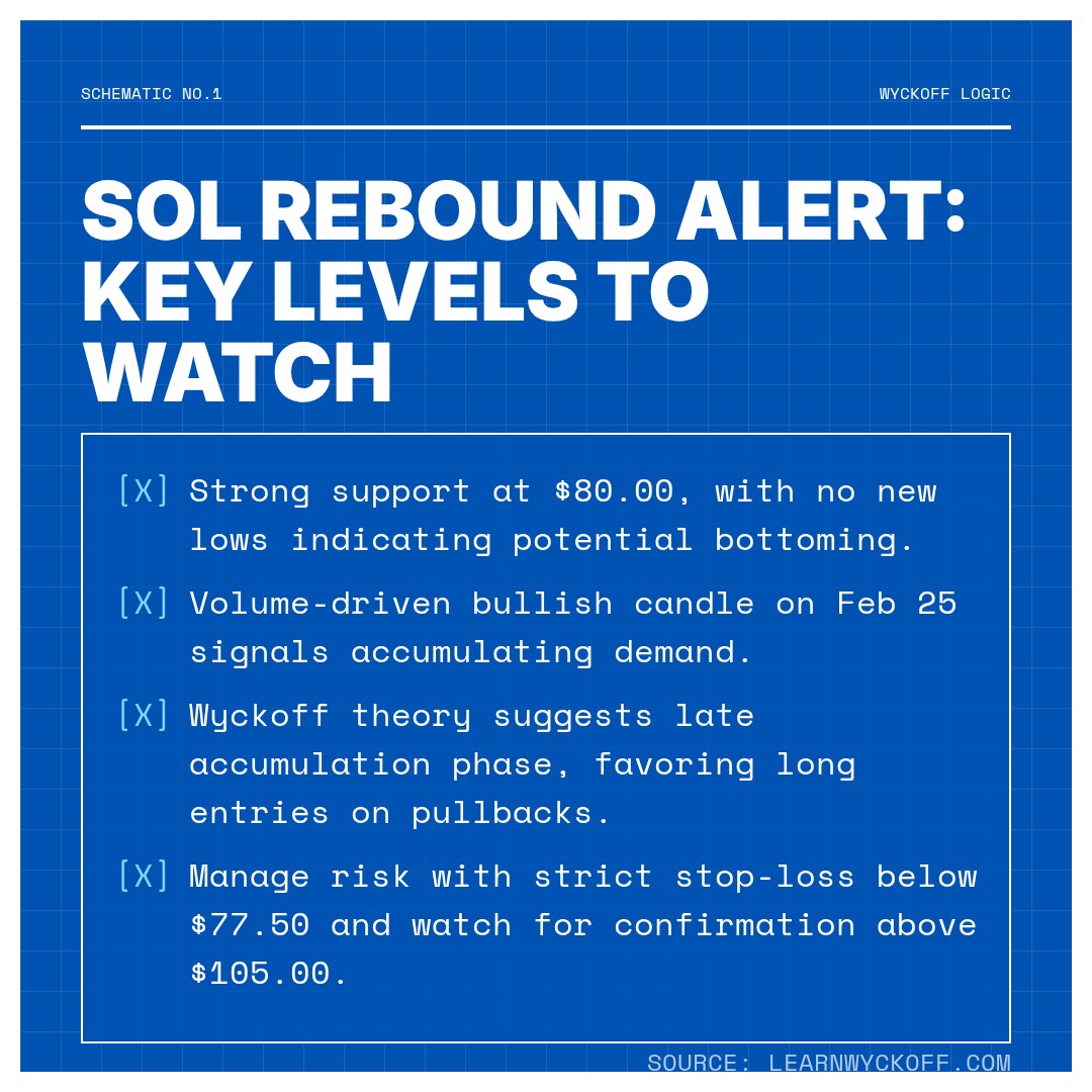 20260225 SOLUSDT Market Data Review Report (Based on Wyckoff Volume-Price Perspective)