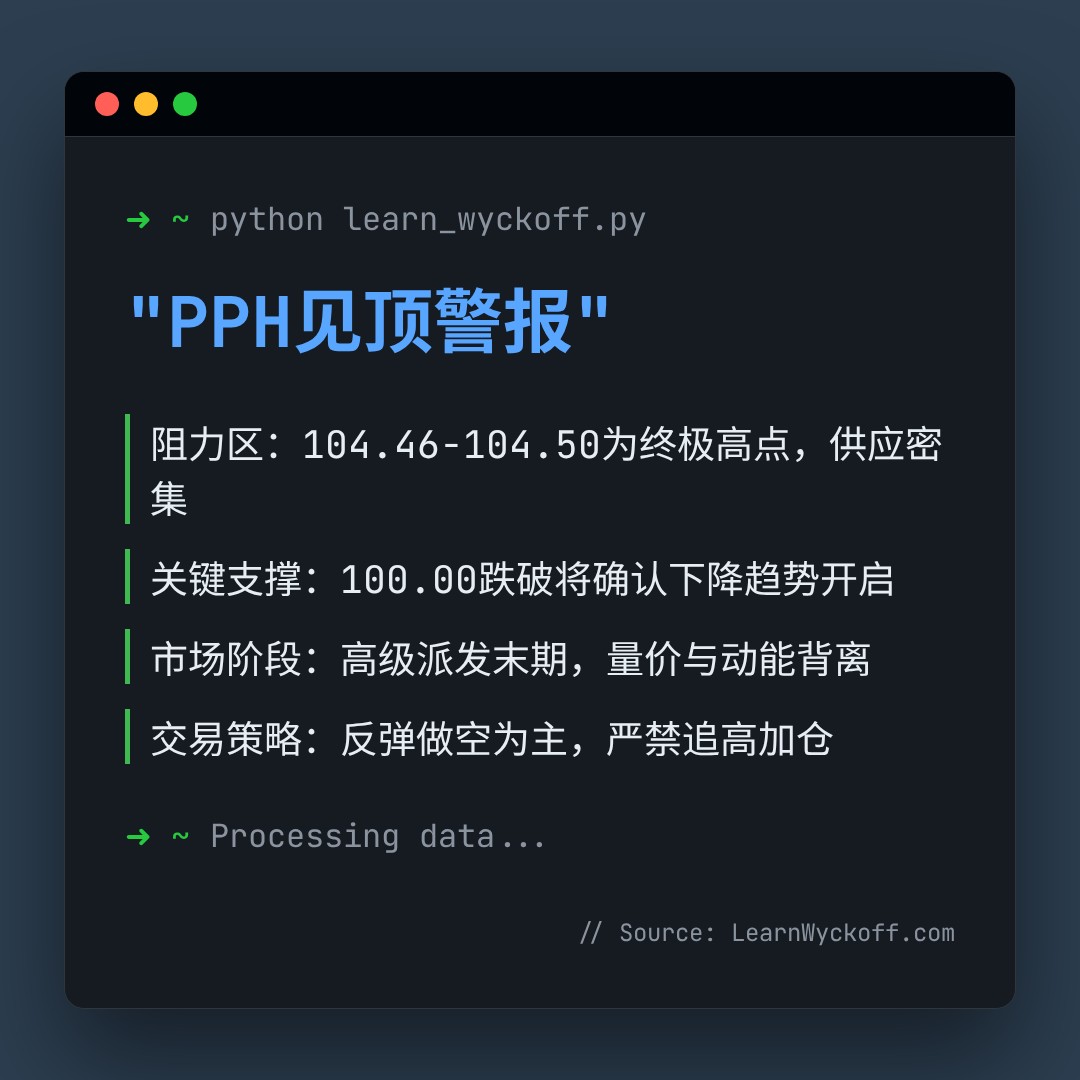 20260101 PPH 行情数据复盘报告（基于威科夫量价视角）