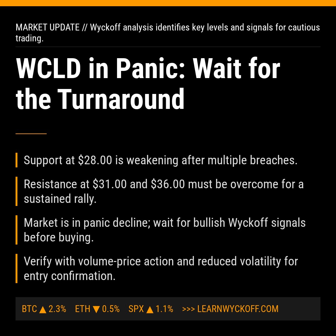 20260220 WCLD Market Data Review Report (Based on Wyckoff Volume-Price Perspective)