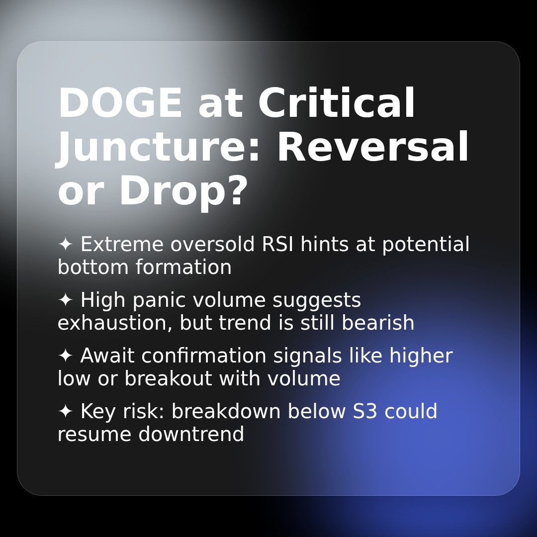 20260222 DOGEUSDT Market Data Review Report (Based on Wyckoff Volume-Price Perspective)