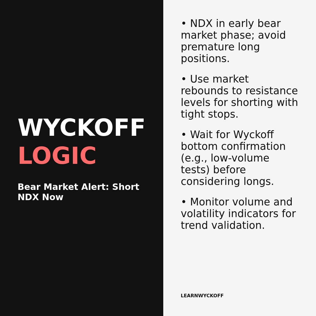 20260211 NDX Market Data Review Report (Based on Wyckoff Volume-Price Perspective)