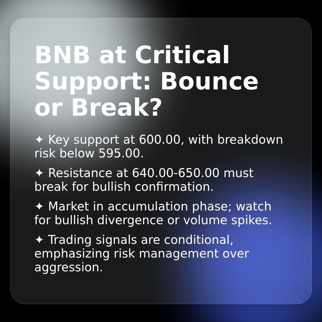 20260219 BNBUSDT Market Data Review Report (Based on Wyckoff Volume-Price Perspective)