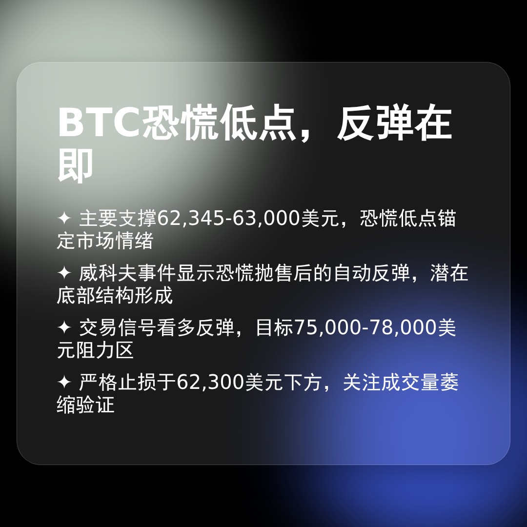 20260209 BTCUSDT 行情数据复盘报告（基于威科夫量价视角）