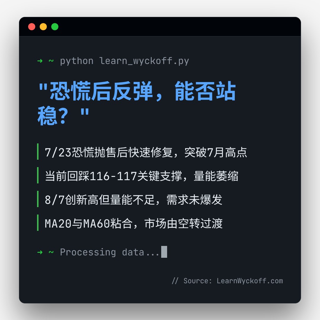 20260821 XLY 行情数据复盘报告（基于威科夫量价视角）
