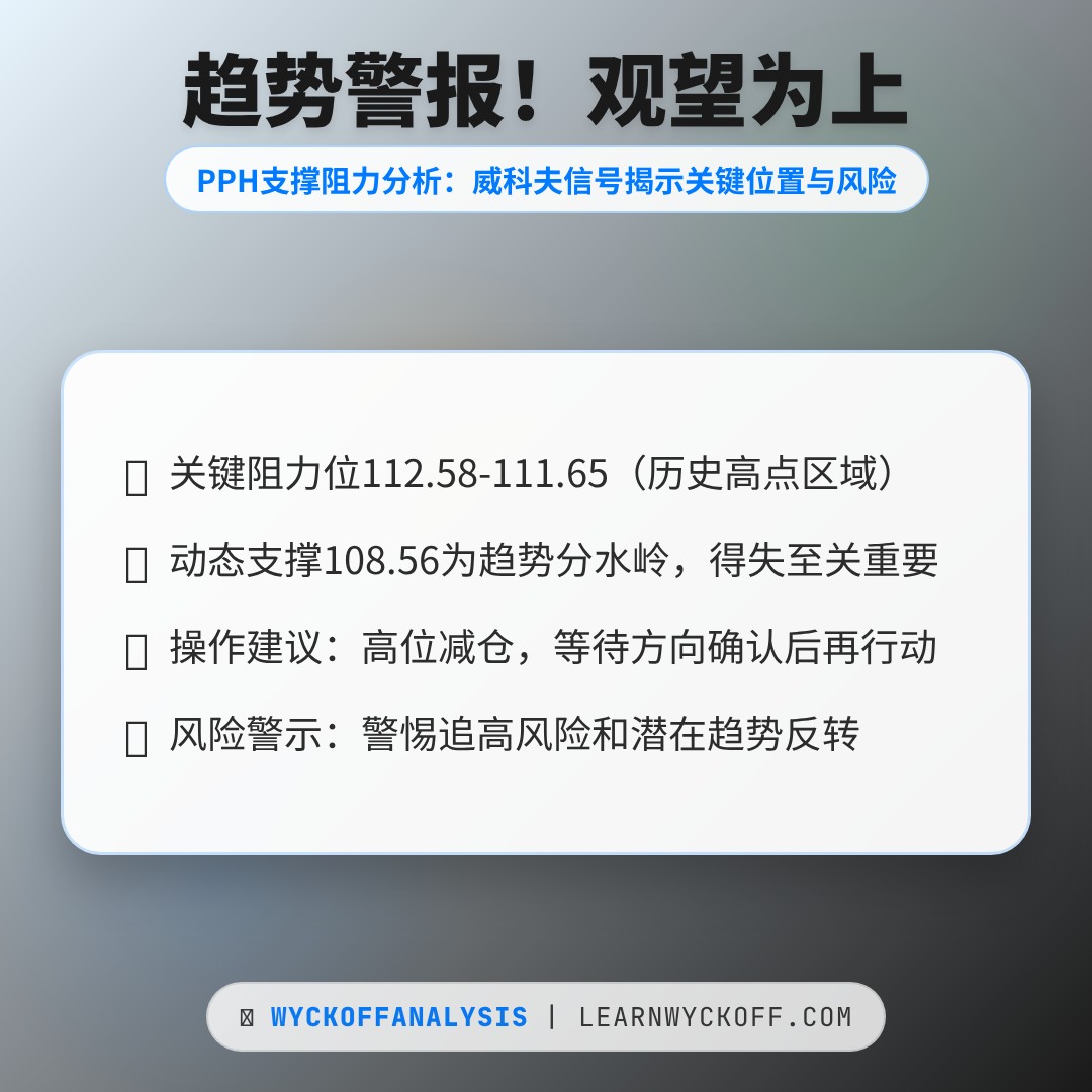 20260220 PPH 行情数据复盘报告（基于威科夫量价视角）