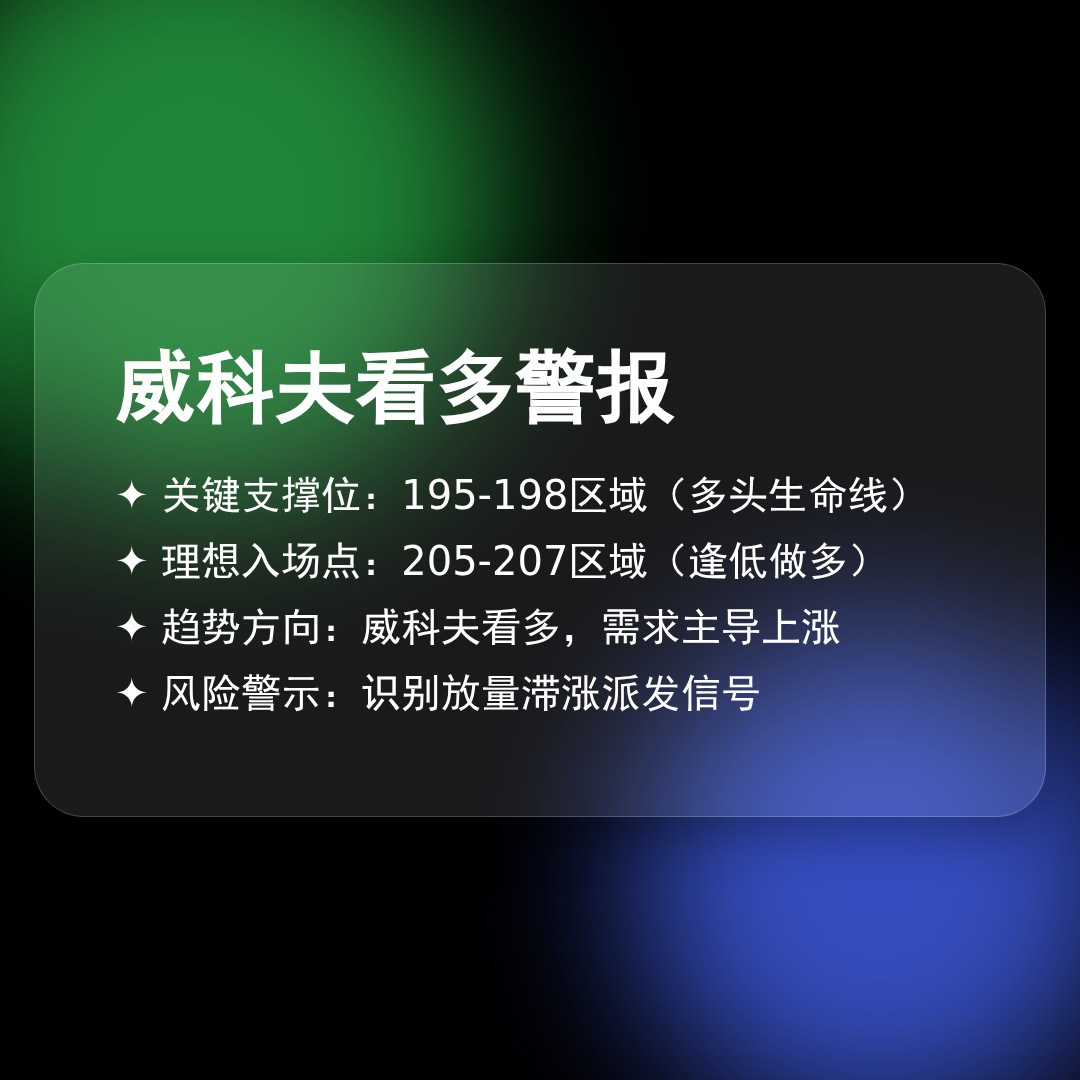 20251225 VAW 行情数据复盘报告（基于威科夫量价视角）