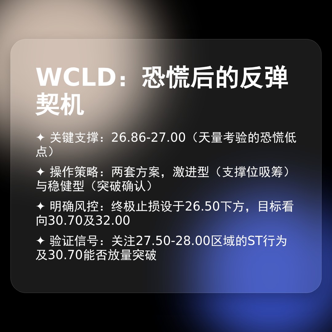 20260218 WCLD 行情数据复盘报告（基于威科夫量价视角）