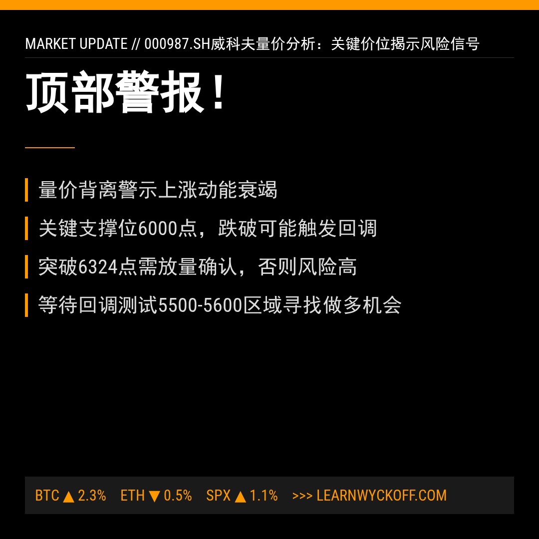 20260302 000987.SH 行情数据复盘报告（基于威科夫量价视角）