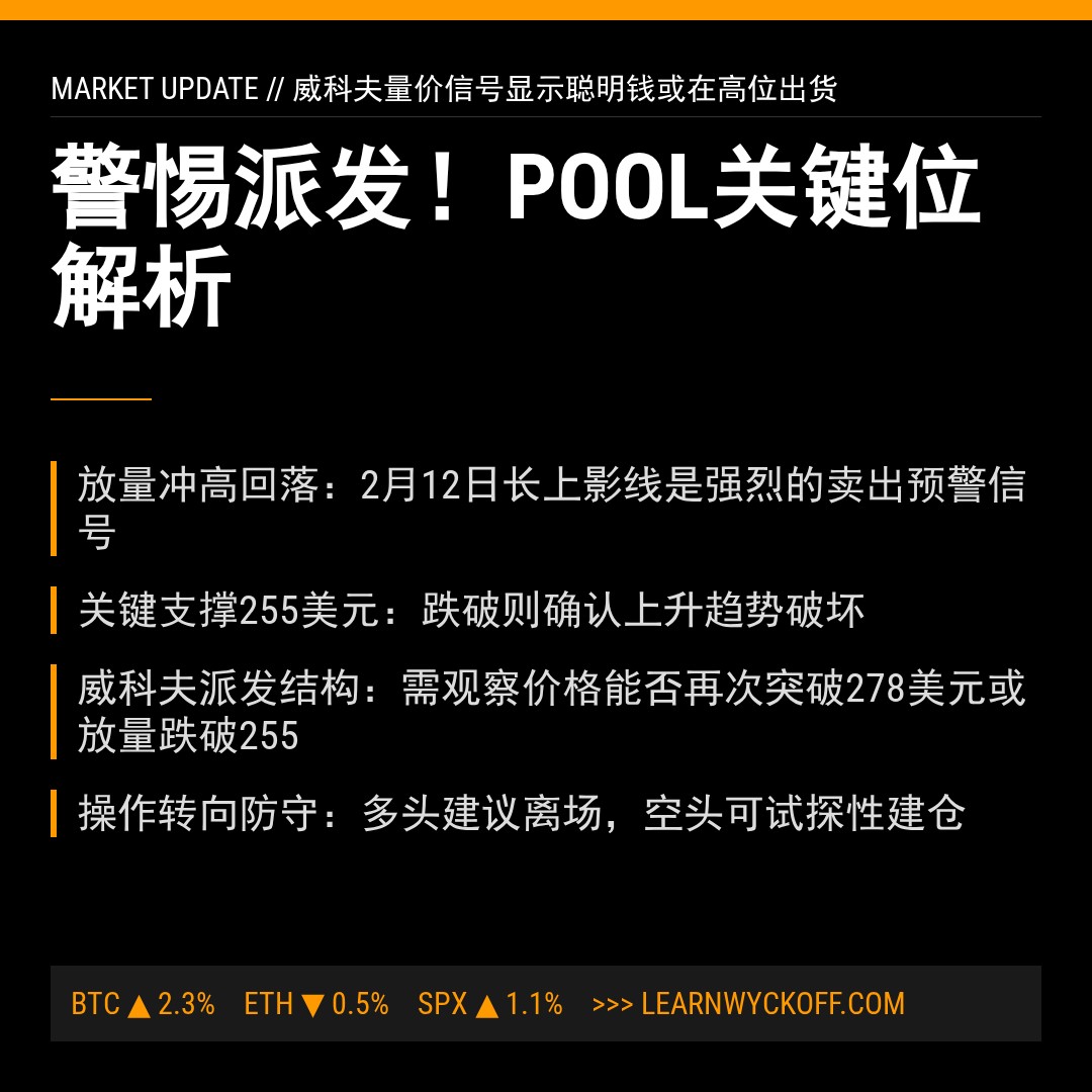 20260212 POOL 行情数据复盘报告（基于威科夫量价视角）
