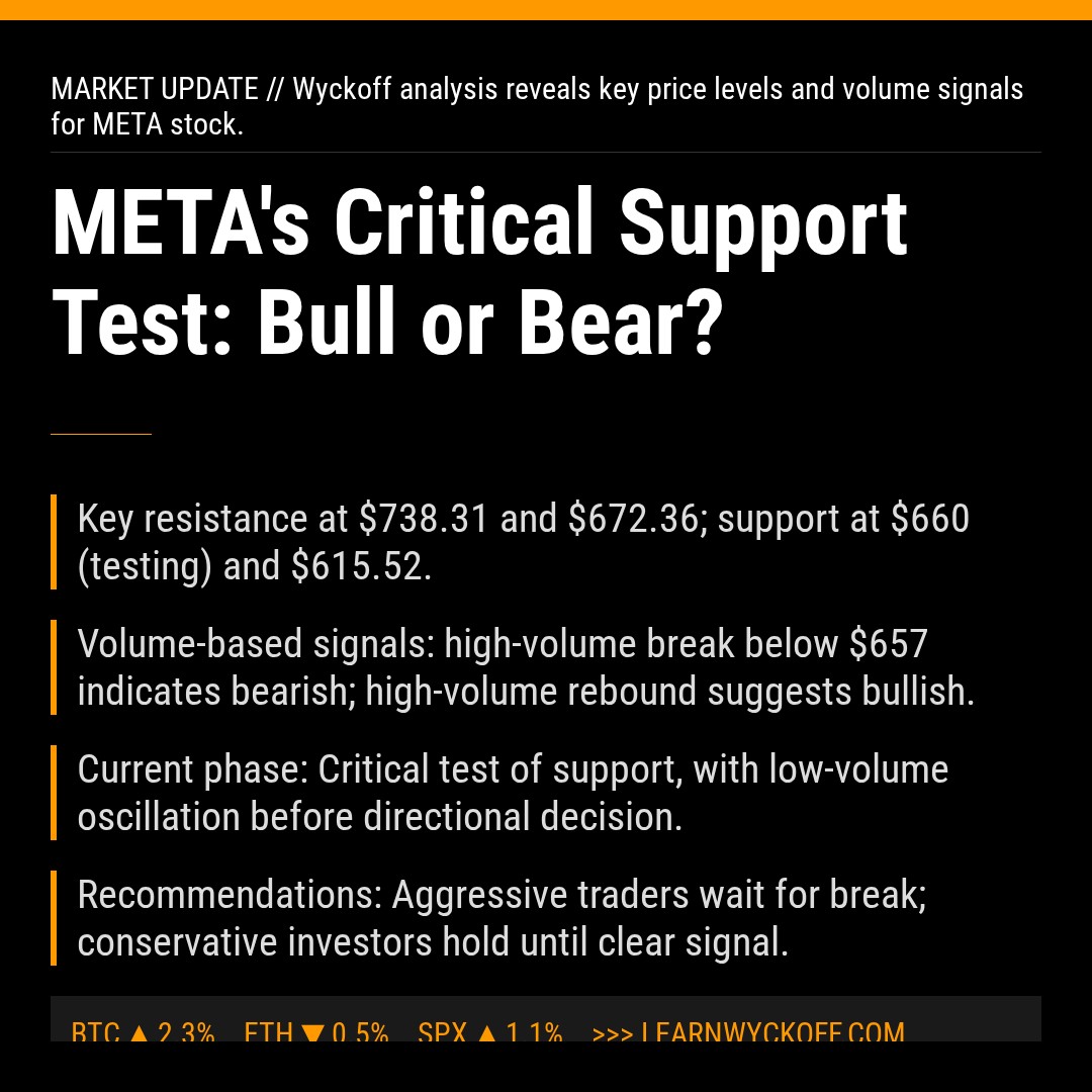 20260211 META Market Data Review Report (Based on Wyckoff Volume-Price Perspective)