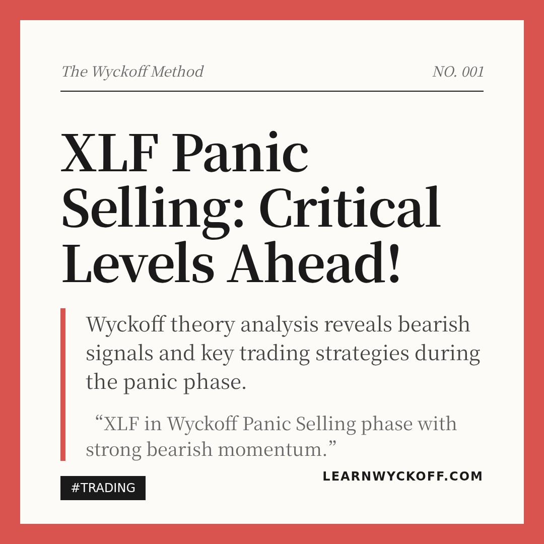 20260211 XLF Market Data Review Report (Based on Wyckoff Volume-Price Perspective)