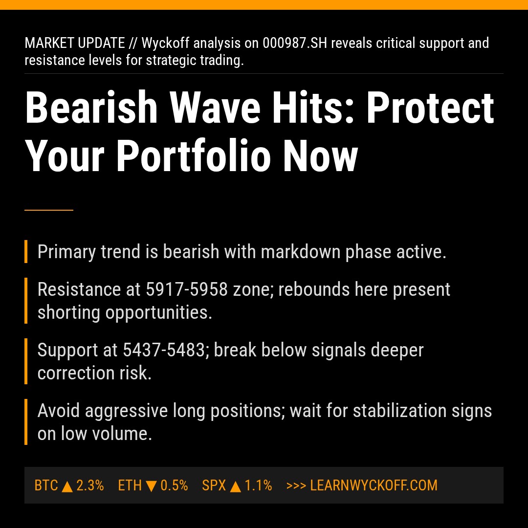 20260213 000987.SH Market Data Review Report (Based on Wyckoff Volume-Price Perspective)