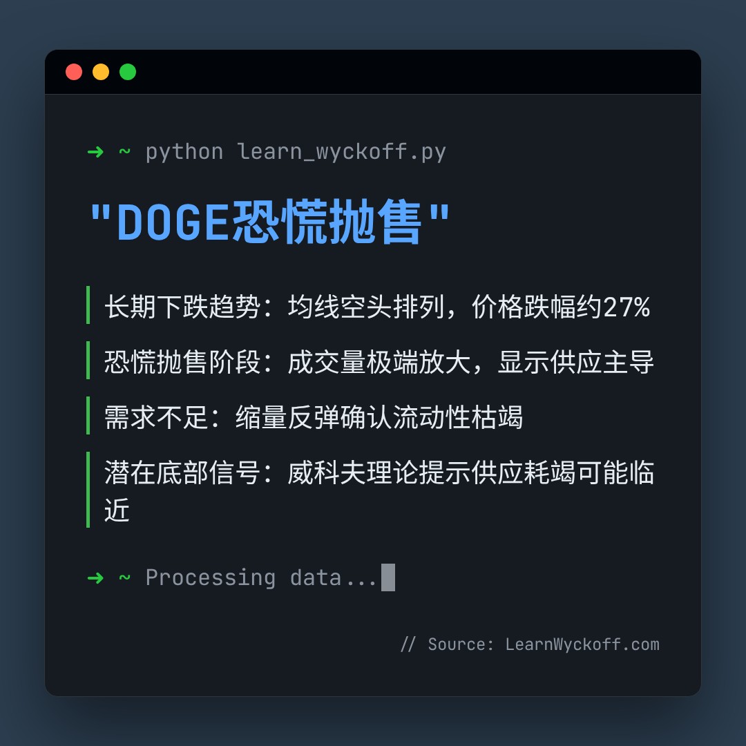 20260203 DOGEUSDT 行情数据复盘报告（基于威科夫量价视角）