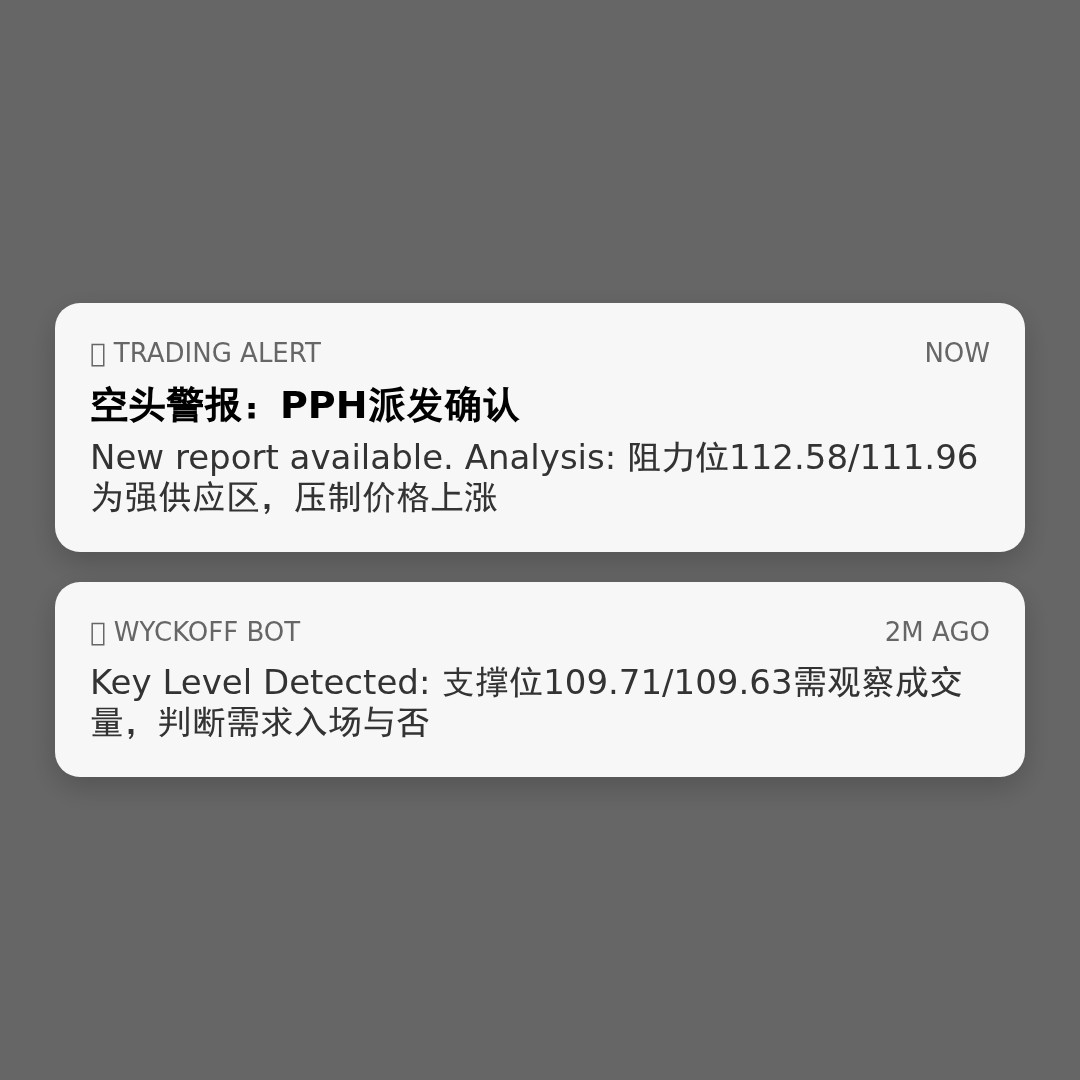 20260224 PPH 行情数据复盘报告（基于威科夫量价视角）