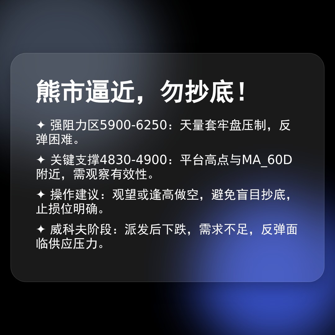 20260205 000987.SH 行情数据复盘报告（基于威科夫量价视角）