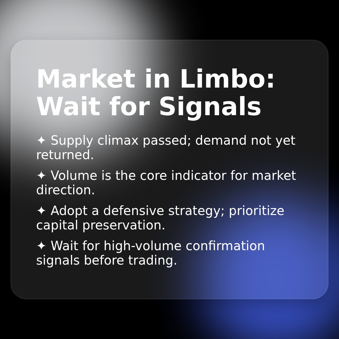 20260319 NDX Market Data Review Report (Based on Wyckoff Volume-Price Perspective)