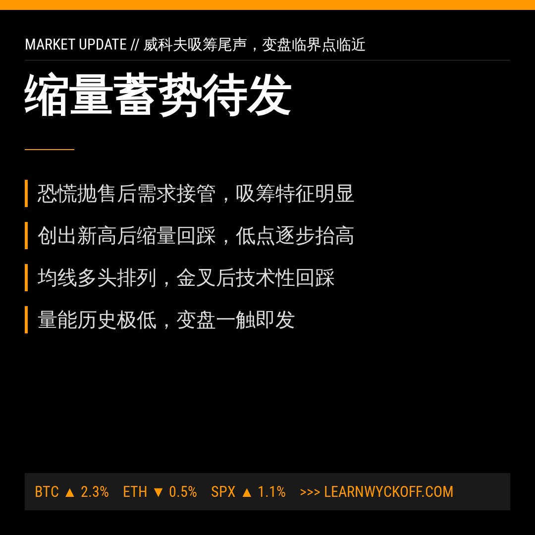 20260826 XLY 行情数据复盘报告（基于威科夫量价视角）