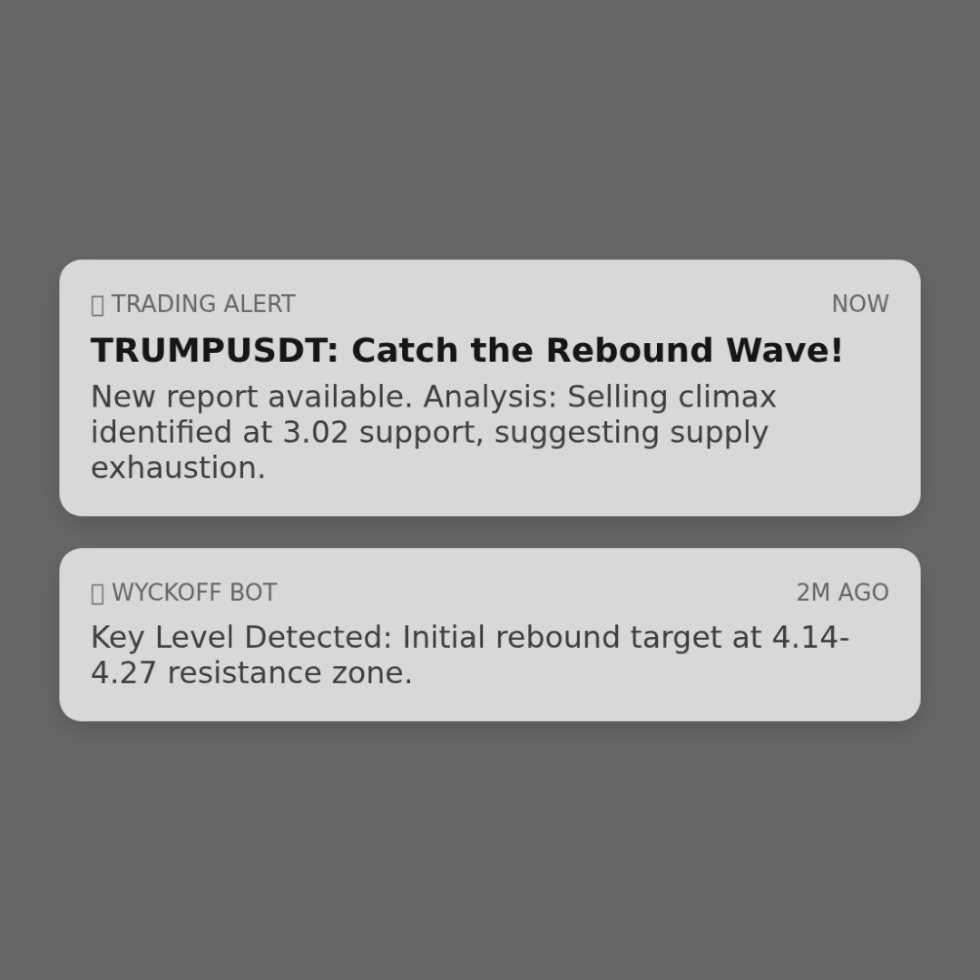 20260206 TRUMPUSDT Market Data Review Report (Based on Wyckoff Volume-Price Perspective)