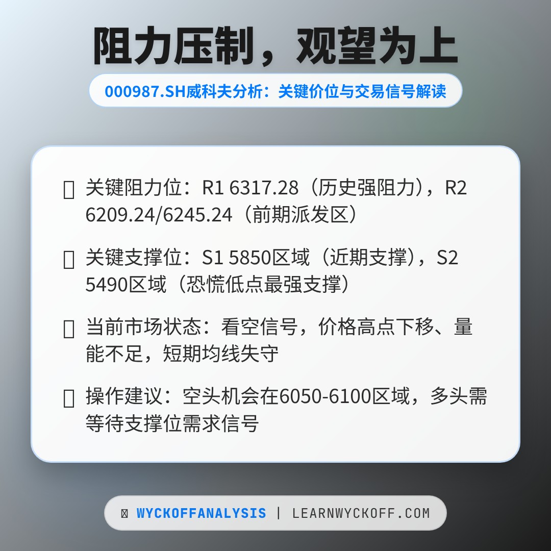 20260306 000987.SH 行情数据复盘报告（基于威科夫量价视角）