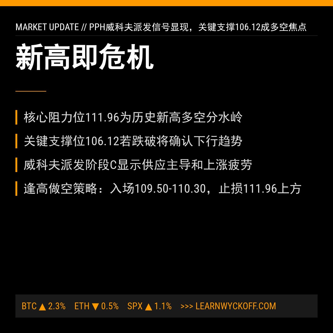 20260216 PPH 行情数据复盘报告（基于威科夫量价视角）