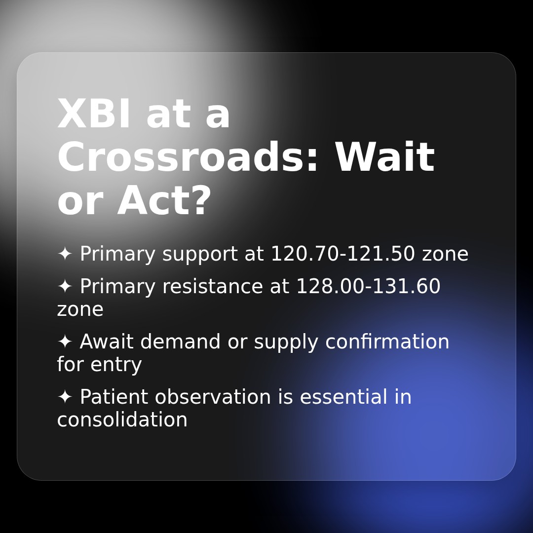 20260220 XBI Market Data Review Report (Based on Wyckoff Volume-Price Perspective)