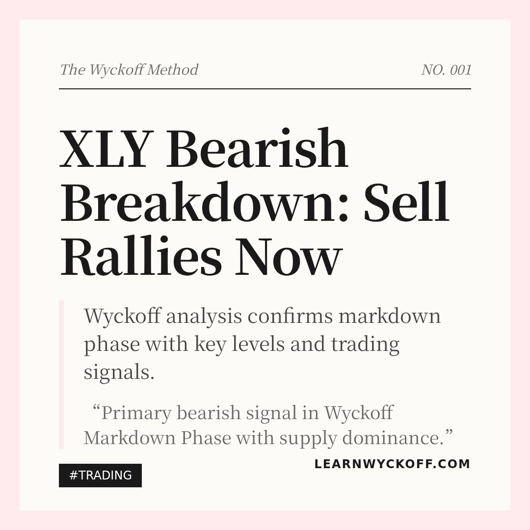 20260302 XLY Market Data Review Report (Based on Wyckoff Volume-Price Perspective)