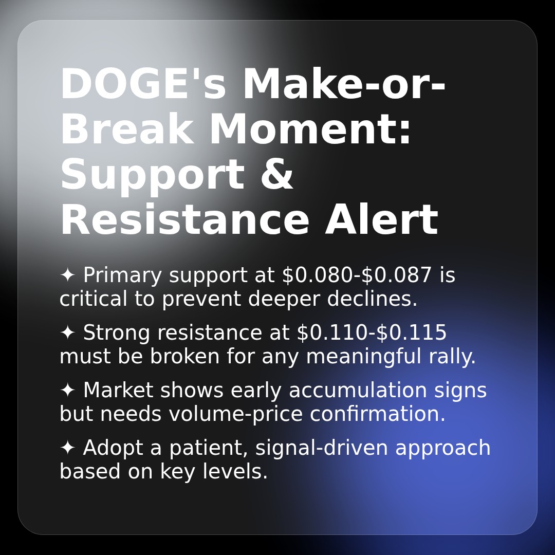 20260218 DOGEUSDT Market Data Review Report (Based on Wyckoff Volume-Price Perspective)