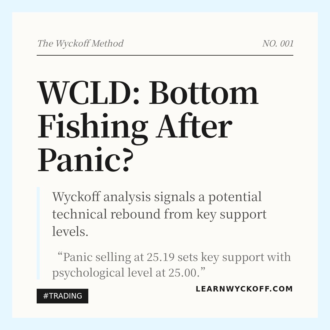 20260224 WCLD Market Data Review Report (Based on Wyckoff Volume-Price Perspective)