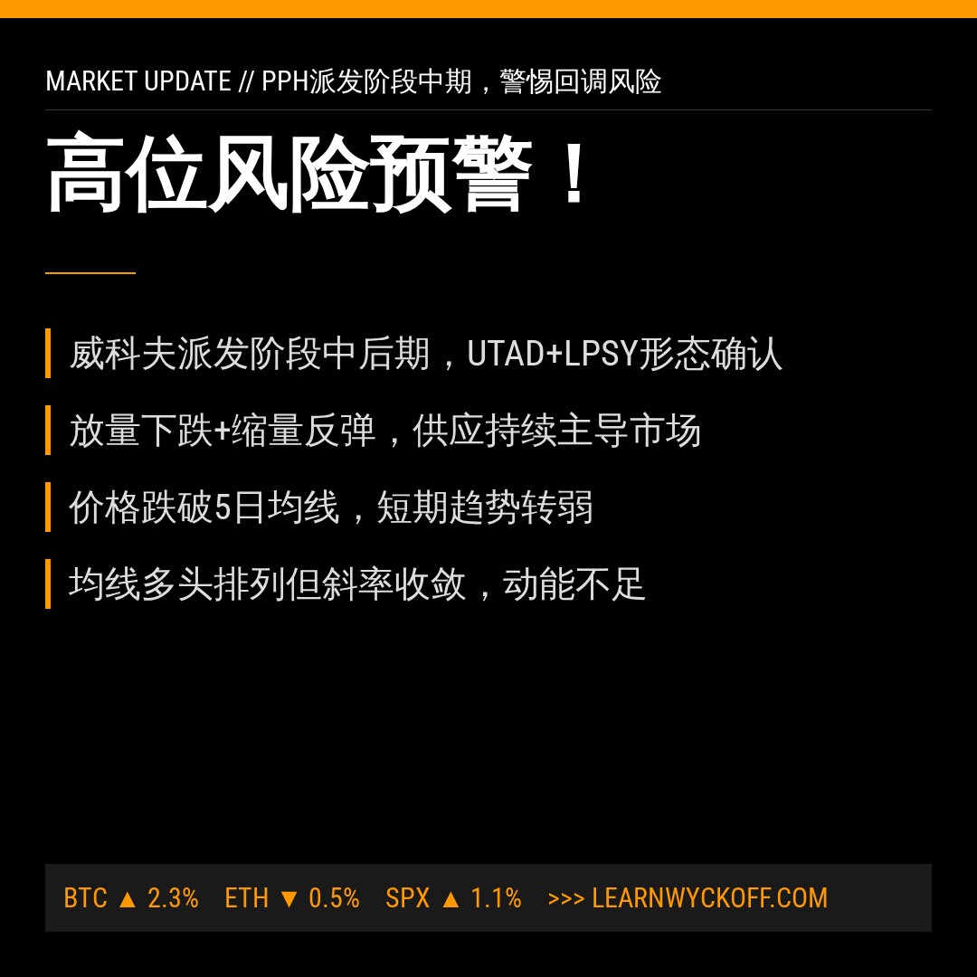 20260813 PPH 行情数据复盘报告（基于威科夫量价视角）