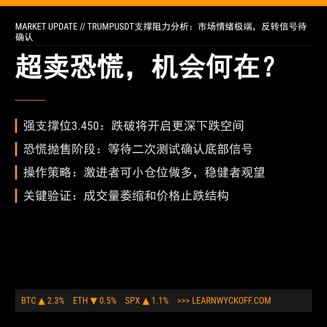 20260205 TRUMPUSDT 行情数据复盘报告（基于威科夫量价视角）