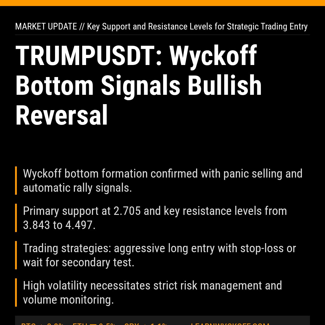 20260313 TRUMPUSDT Market Data Review Report (Based on Wyckoff Volume-Price Perspective)