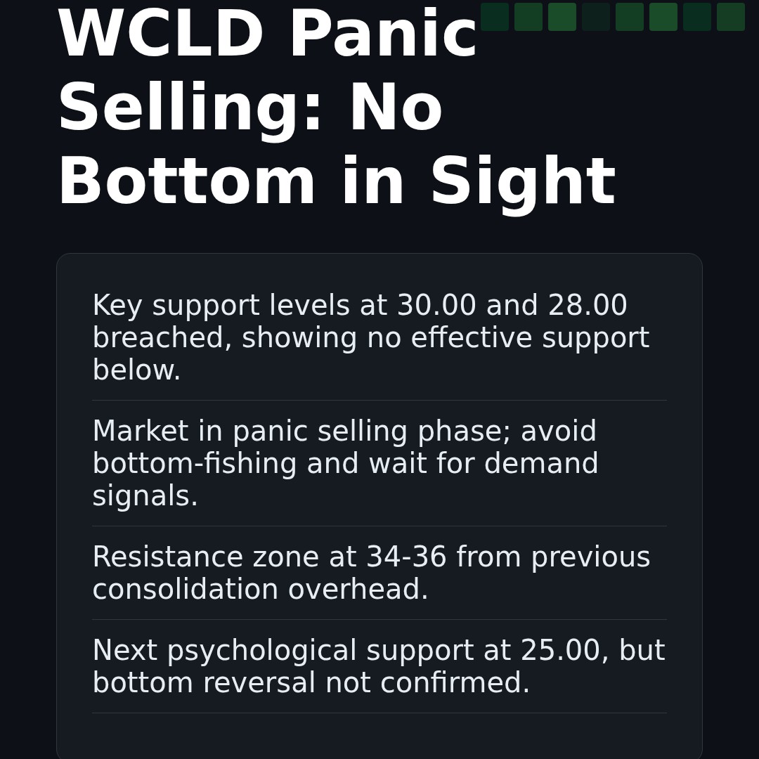 20260211 WCLD Market Data Review Report (Based on Wyckoff Volume-Price Perspective)