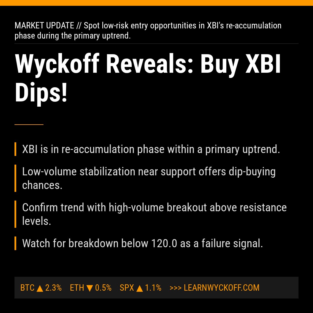 20260304 XBI Market Data Review Report (Based on Wyckoff Volume-Price Perspective)