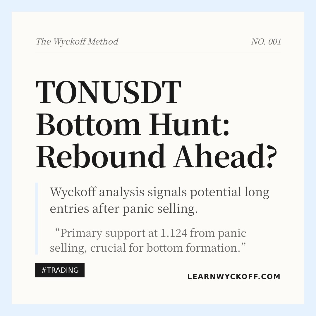 20260206 TONUSDT Market Data Review Report (Based on Wyckoff Volume-Price Perspective)