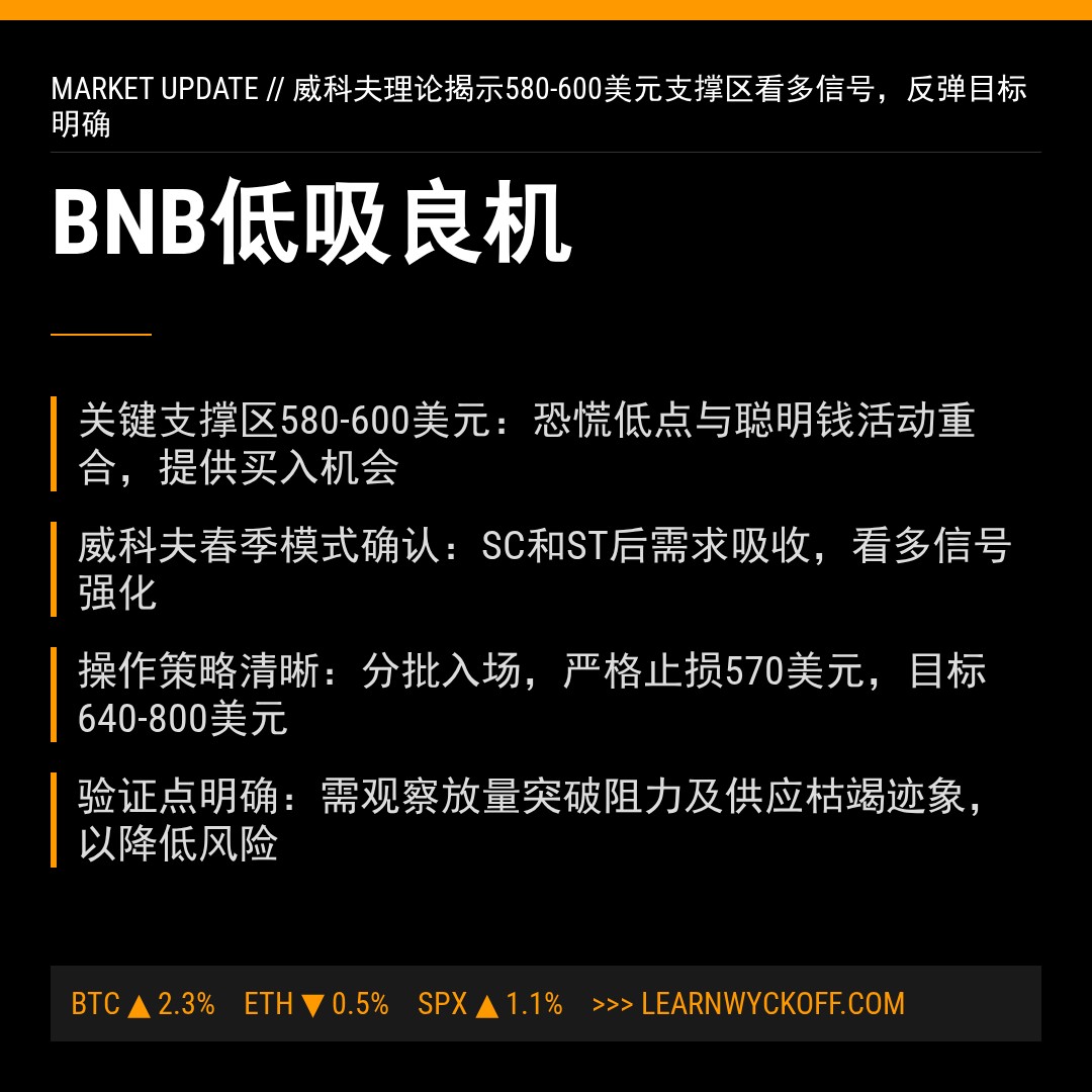 20260224 BNBUSDT 行情数据复盘报告（基于威科夫量价视角）