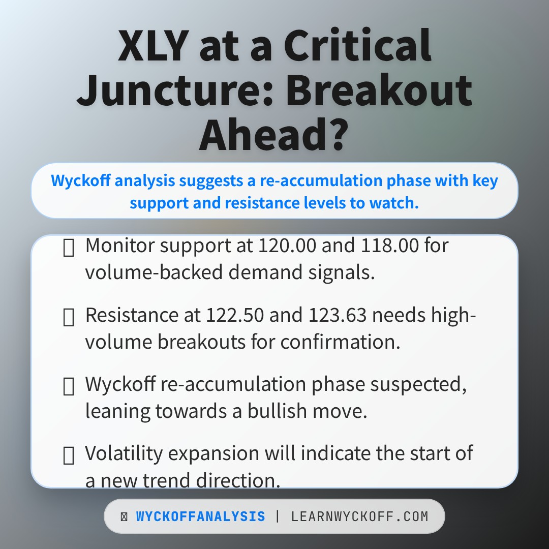 20251230 XLY Market Data Review Report (Based on Wyckoff Volume-Price Perspective)