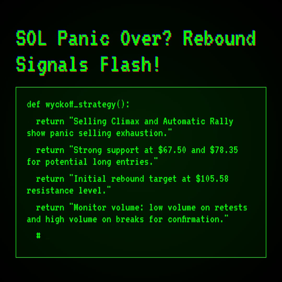 20260206 SOLUSDT Market Data Review Report (Based on Wyckoff Volume-Price Perspective)