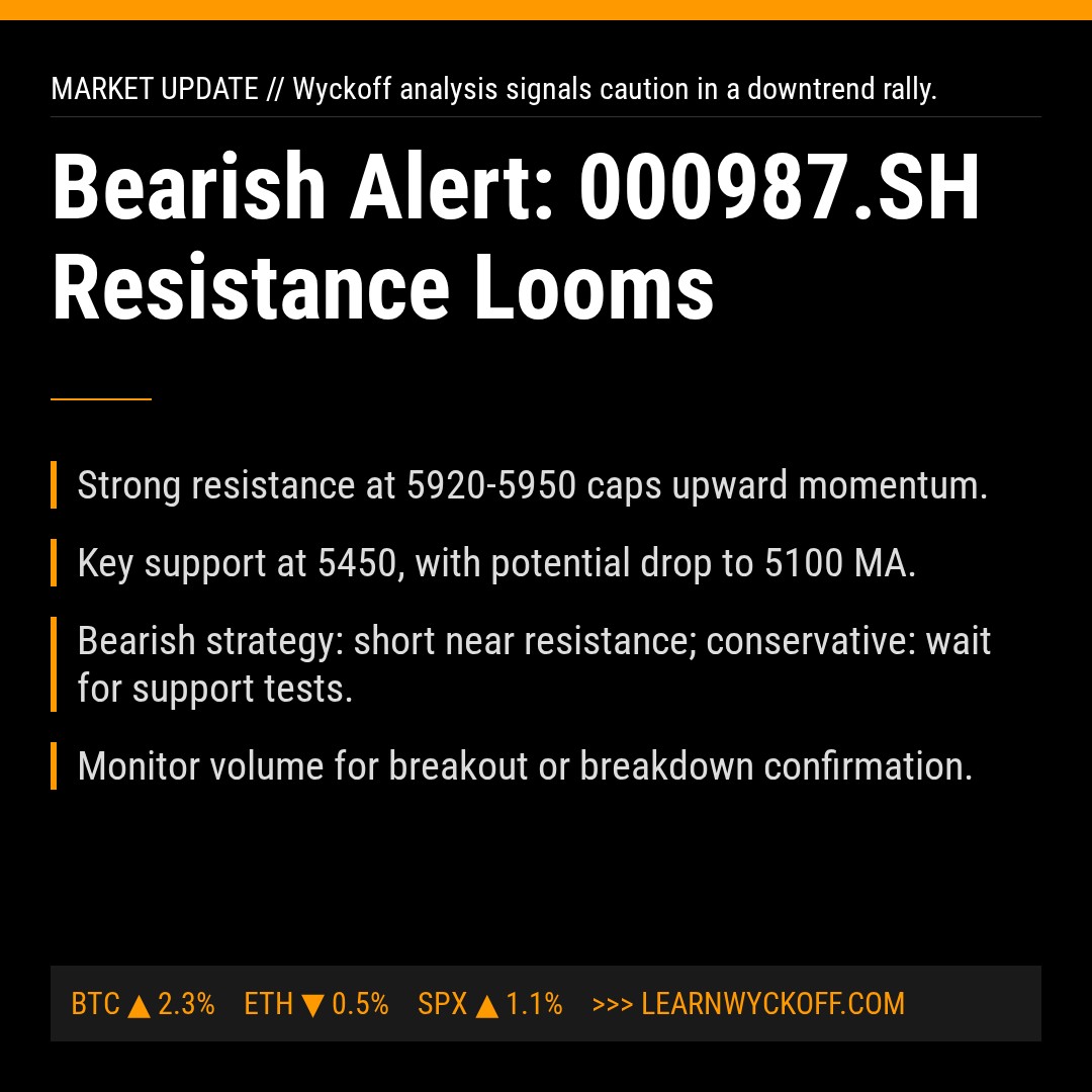 20260219 000987.SH Market Data Review Report (Based on Wyckoff Volume-Price Perspective)