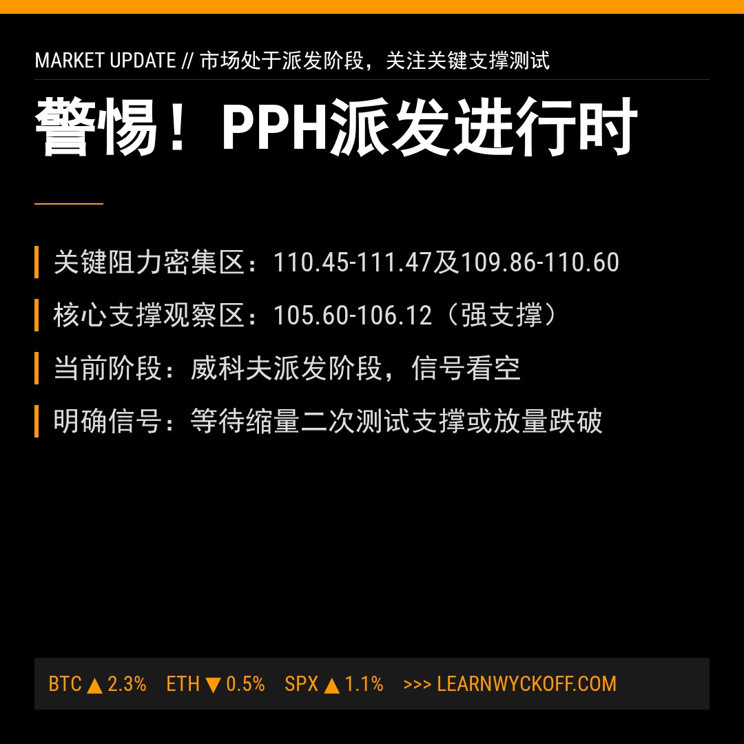 20260210 PPH 行情数据复盘报告（基于威科夫量价视角）