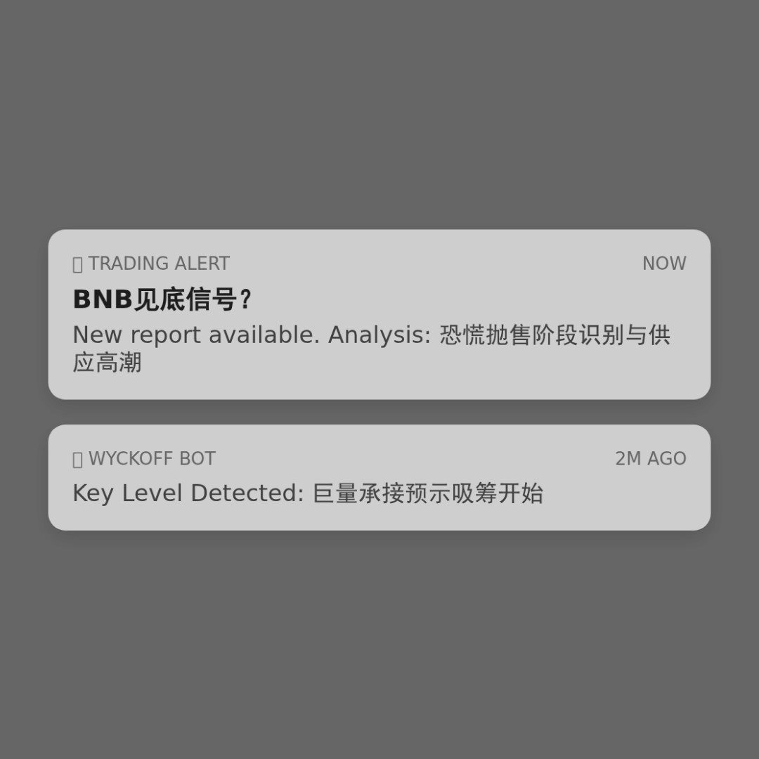 20251228 BNBUSDT 行情数据复盘报告（基于威科夫量价视角）