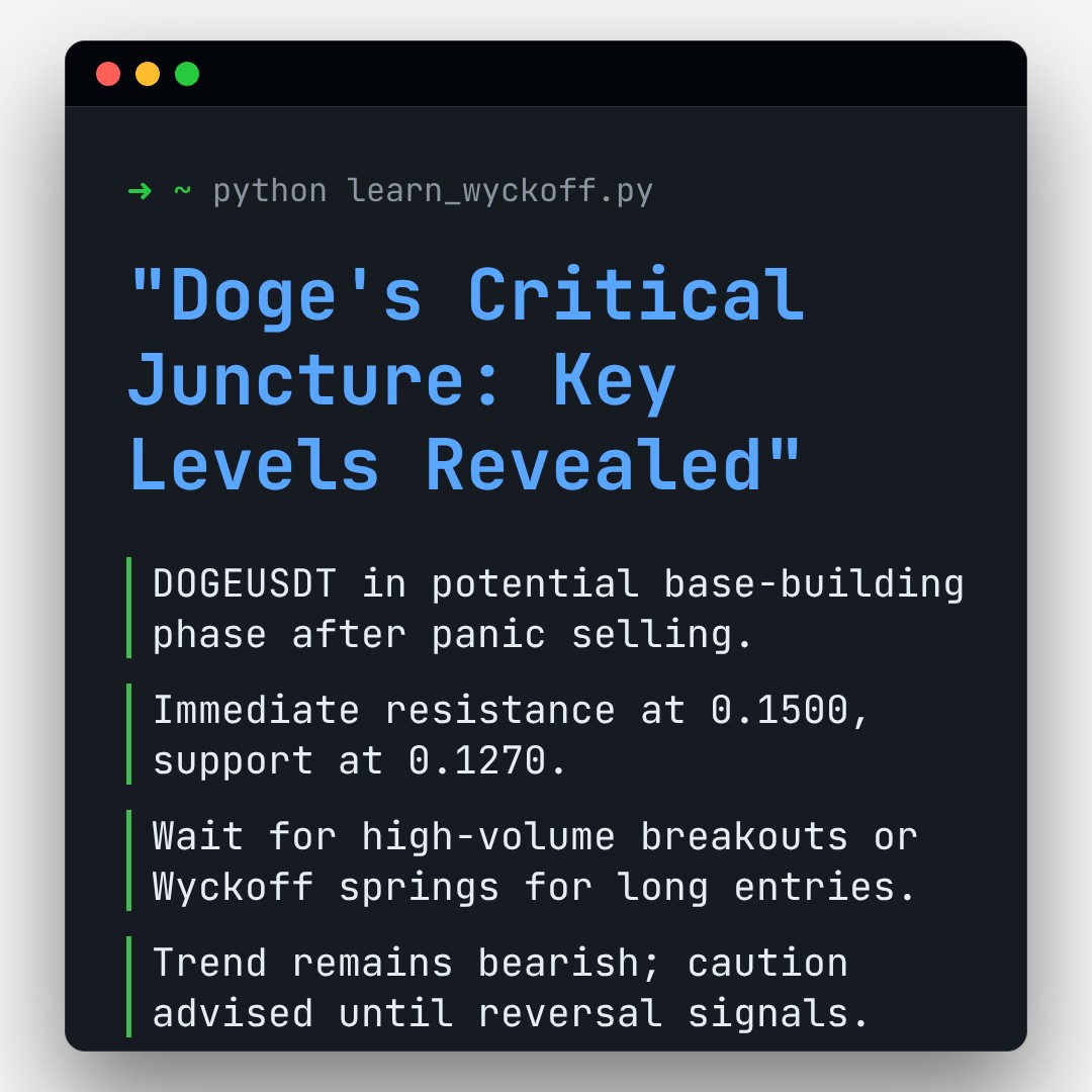 20251225 DOGEUSDT Market Data Review Report (Based on Wyckoff Volume-Price Perspective)