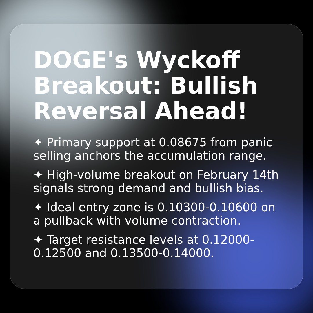 20260214 DOGEUSDT Market Data Review Report (Based on Wyckoff Volume-Price Perspective)