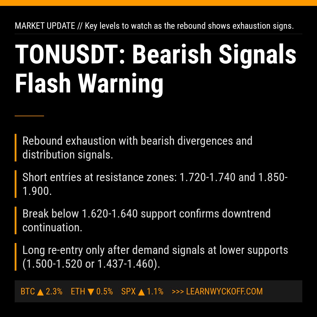 20260117 TONUSDT Market Data Review Report (Based on Wyckoff Volume-Price Perspective)
