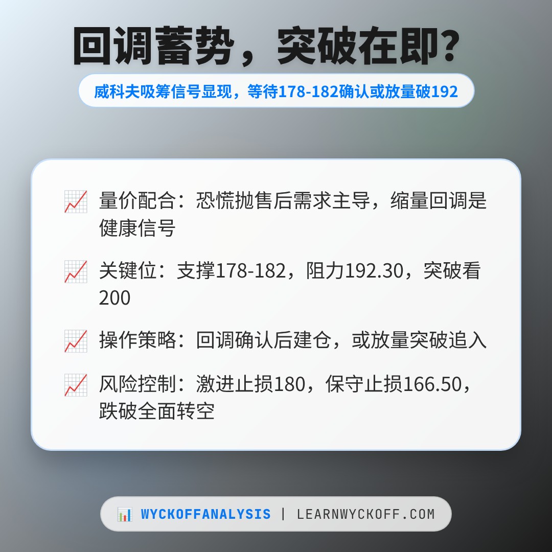 20260806 XLK 行情数据复盘报告（基于威科夫量价视角）